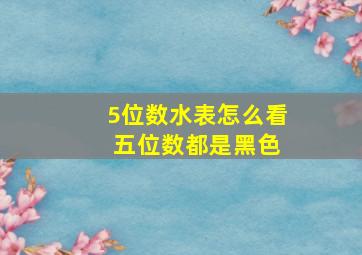 5位数水表怎么看 五位数都是黑色